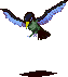 oCuJn