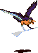 \X
